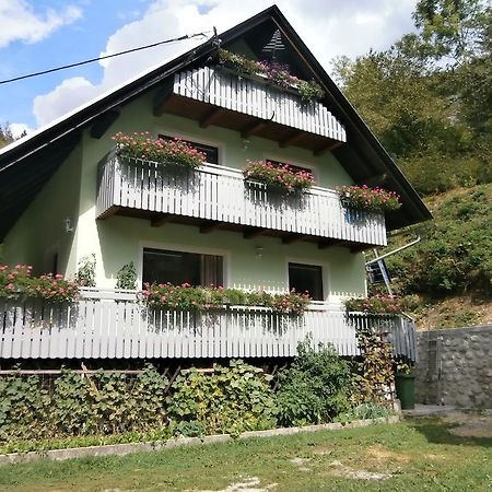 Apartment Zvan 보히니 객실 사진