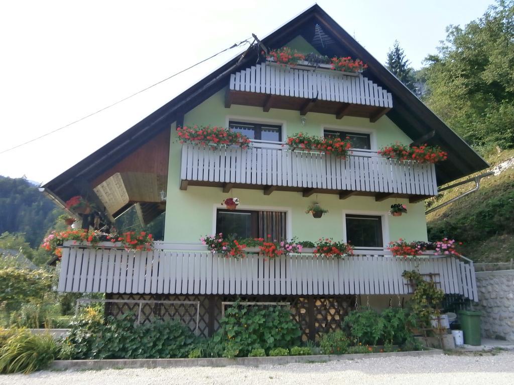 Apartment Zvan 보히니 객실 사진
