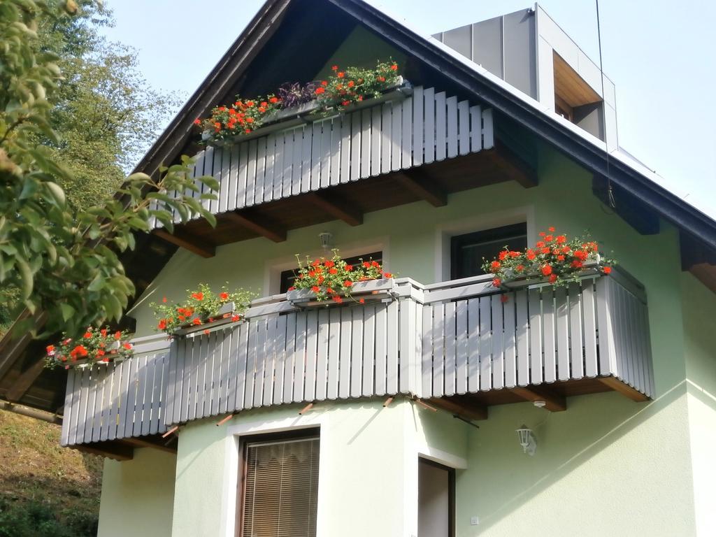 Apartment Zvan 보히니 객실 사진