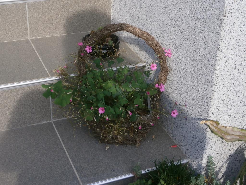 Apartment Zvan 보히니 객실 사진
