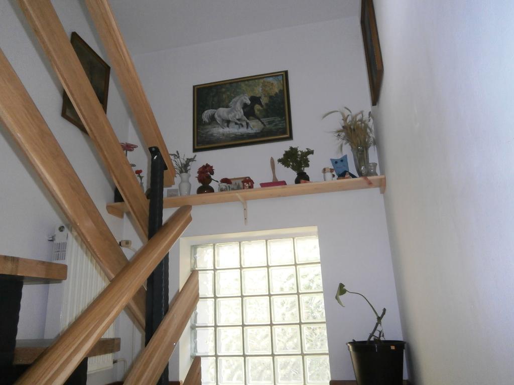 Apartment Zvan 보히니 객실 사진