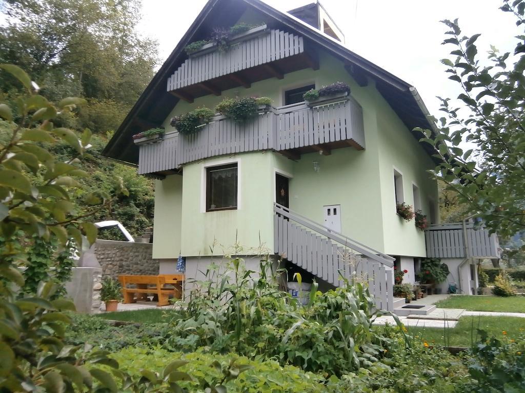 Apartment Zvan 보히니 객실 사진